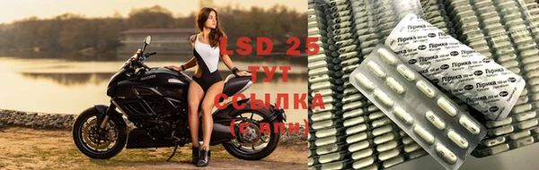 ГАЛЛЮЦИНОГЕННЫЕ ГРИБЫ Медвежьегорск