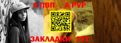 стаф Кингисепп