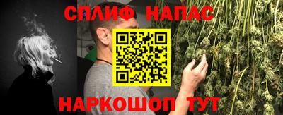стаф Кингисепп