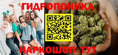 стаф Кингисепп