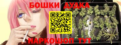 стаф Кингисепп