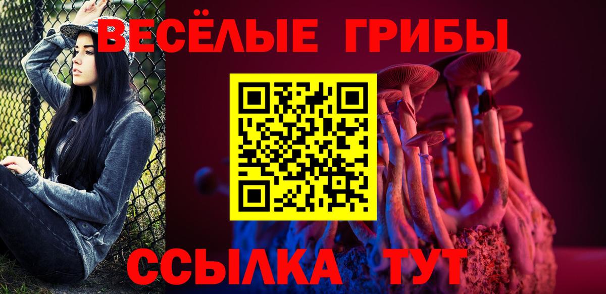 Осинники  Псилоцибиновые грибы прущие грибы  Вход с VPN 